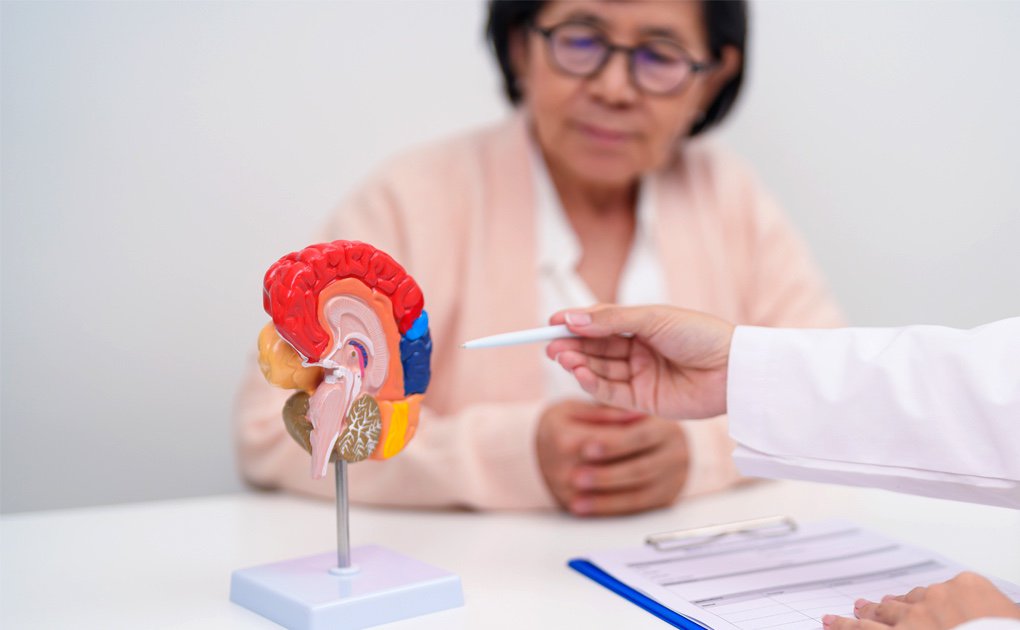 Wist u dat een bekend diabetesmedicijn misschien ook uw brein kan beschermen?